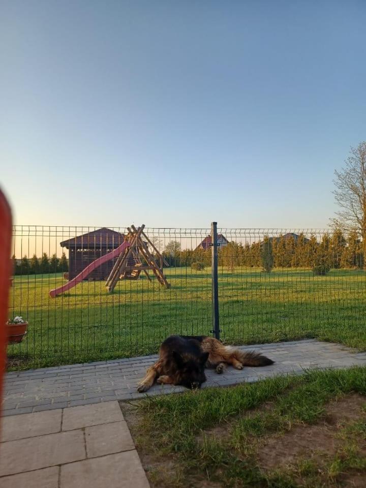 Domki Pod Brzozami Sarbinowo Extérieur photo