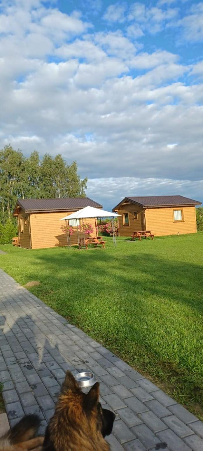 Domki Pod Brzozami Sarbinowo Extérieur photo